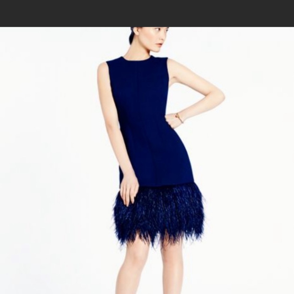 Madison Ave Kate Spade navy feather dress